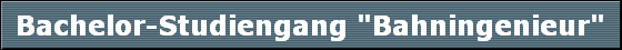 Bachelor-Studiengang 